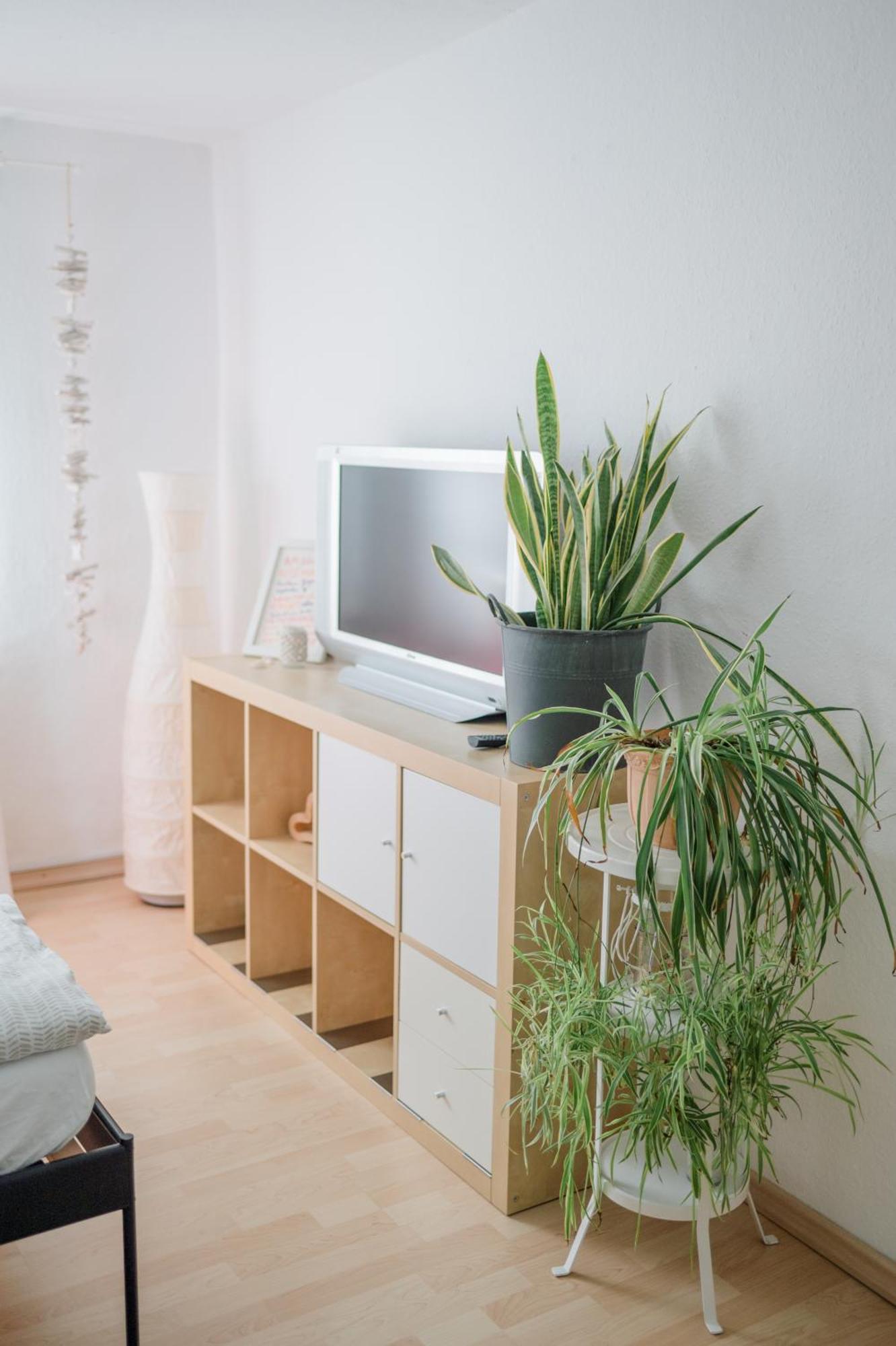 Buchlindenweg - Zimmer & Ferienwohnung Breitscheid  Екстер'єр фото